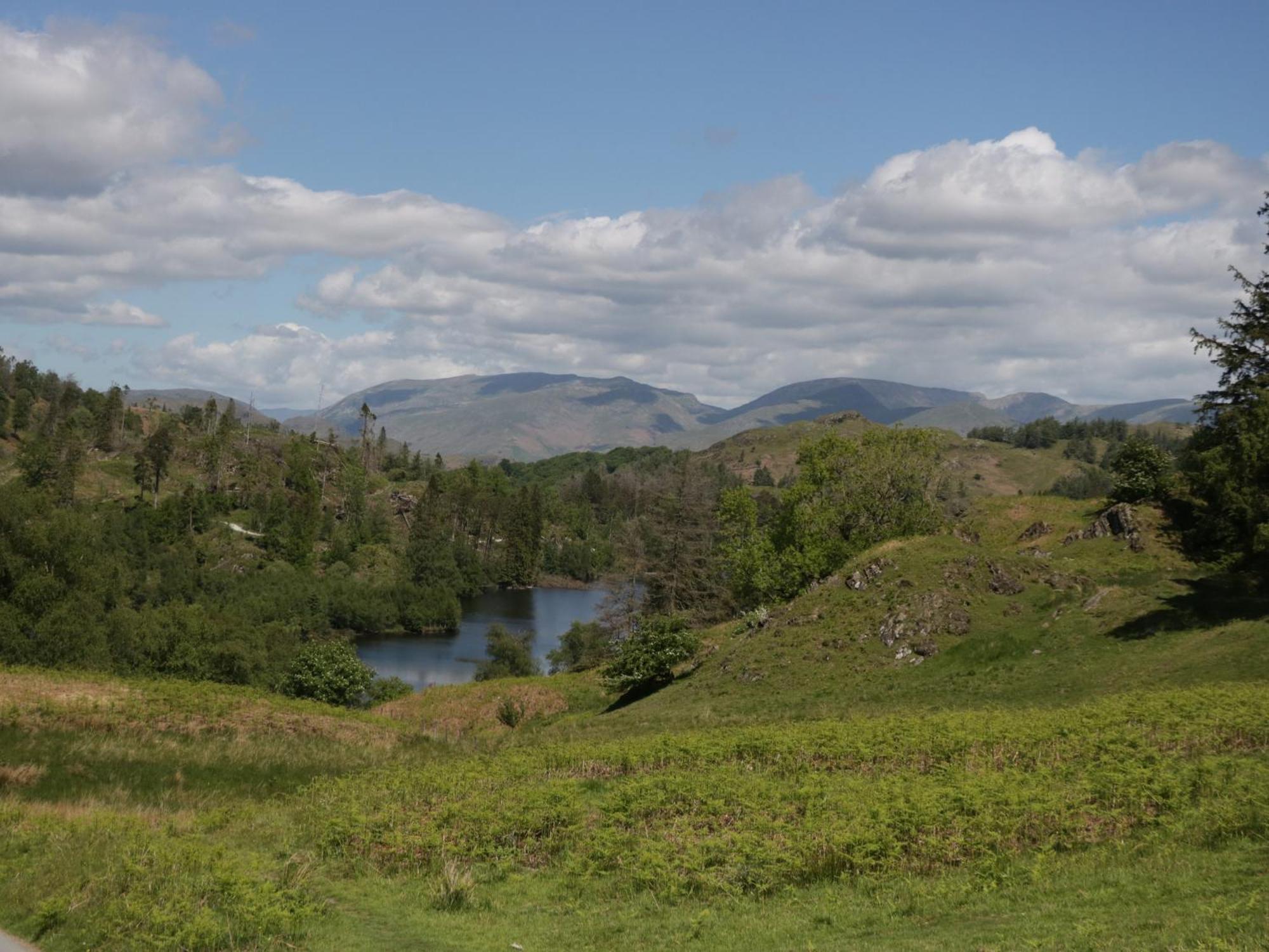 The Bird'S Nest Βίλα Windermere Εξωτερικό φωτογραφία